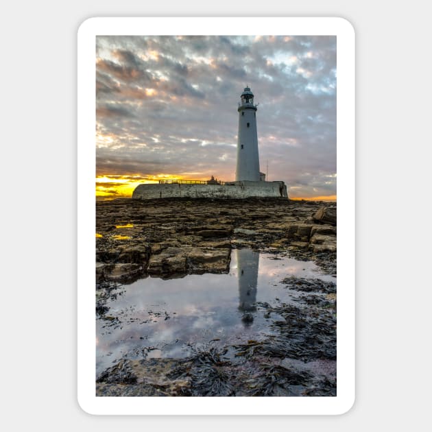 Sunset At St Marys Lighthouse Sticker by tynesidephotos